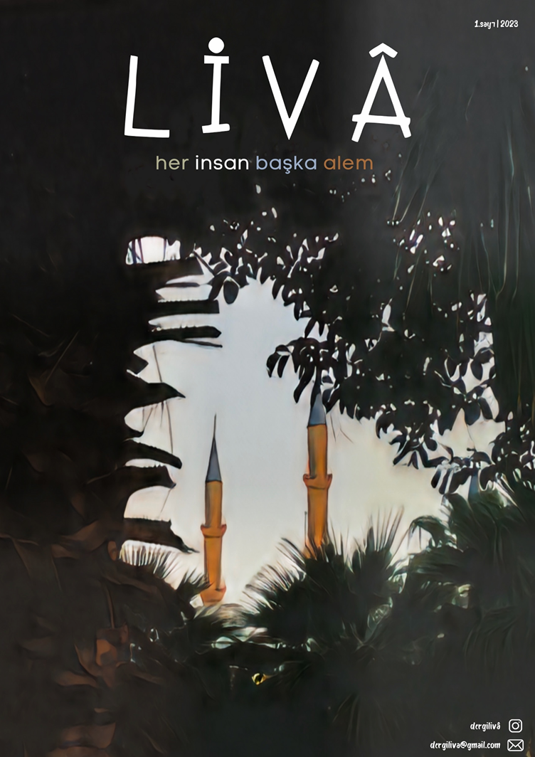 Liva Sayı 1
